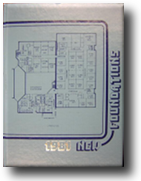 1981